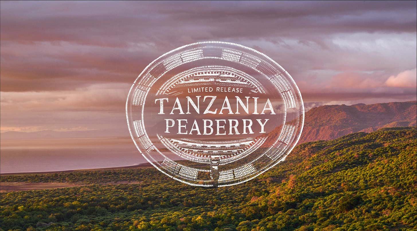 Tanzania Peaberry white logo over a costal mountainous landscape